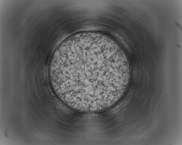 X0000098111417200804251417