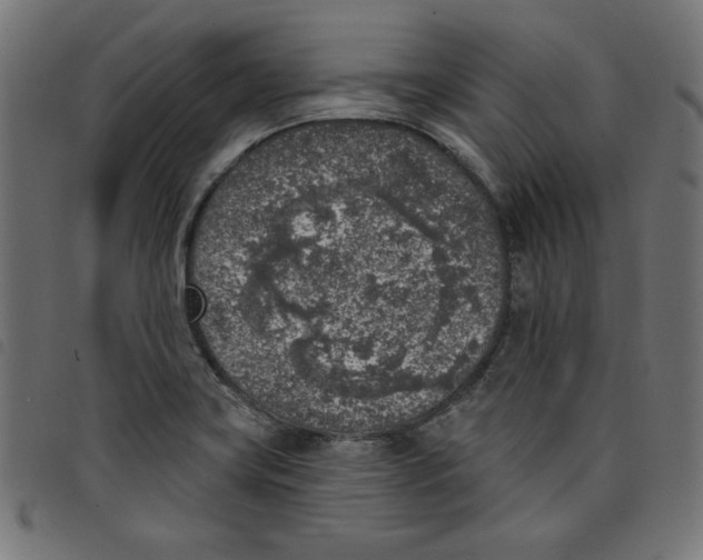 X0000098111419200804251417