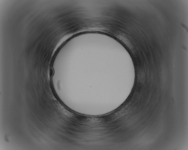 X0000098111420200804251417