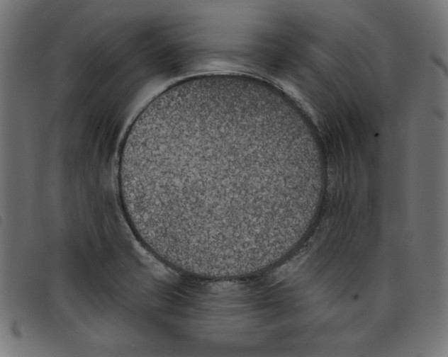 X0000098111421200804251417