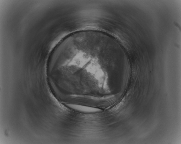 X0000098111422200804251417