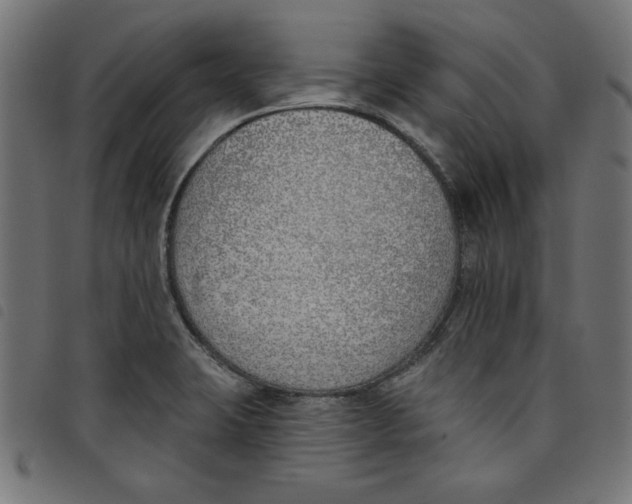 X0000098111423200804251417