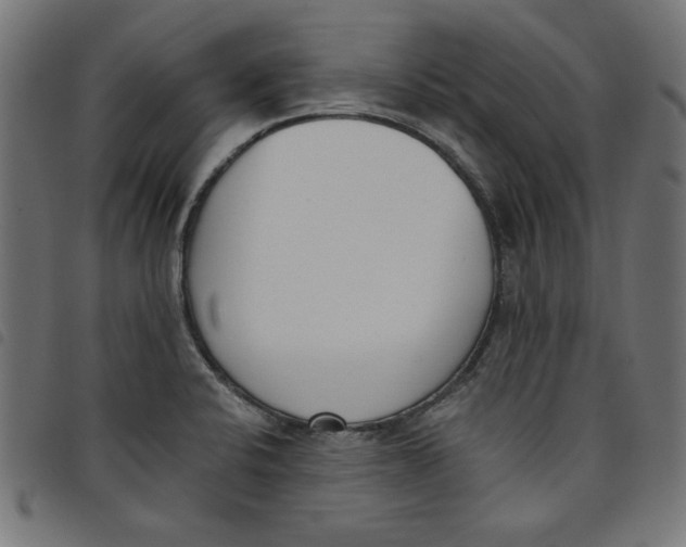 X0000098111424200804251417