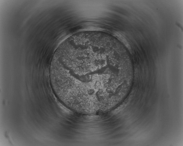 X0000098111425200804251417