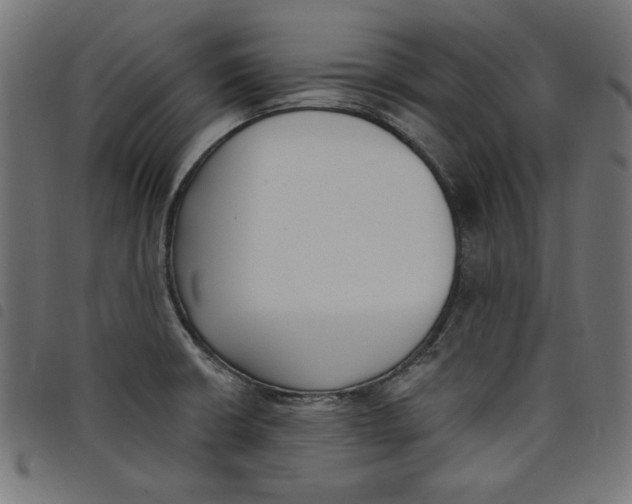 X0000098111426200804251417