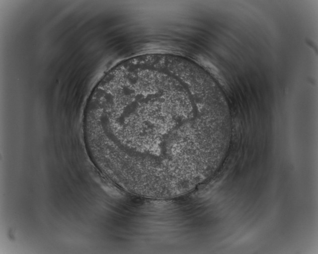 X0000098111427200804251417