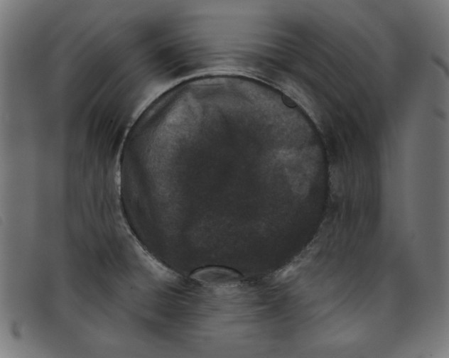 X0000098111428200804251417