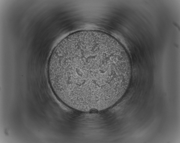 X0000098111429200804251417