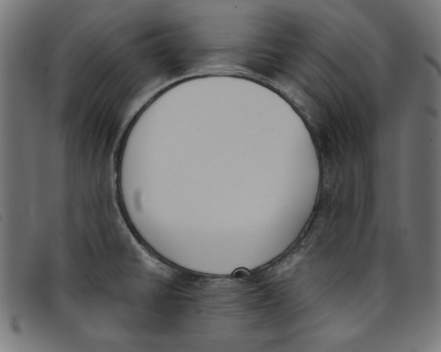 X0000098111430200804251417