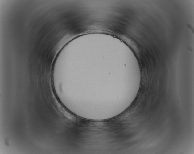 X0000098111431200804251417