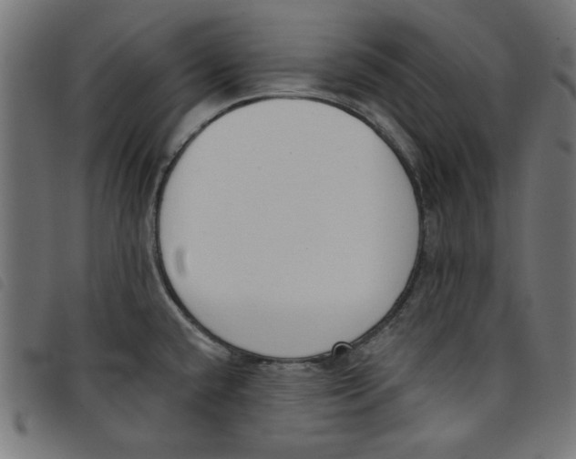 X0000098111432200804251417