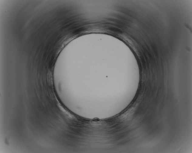 X0000098111433200804251417