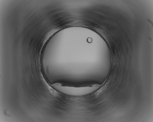 X0000098111434200804251417