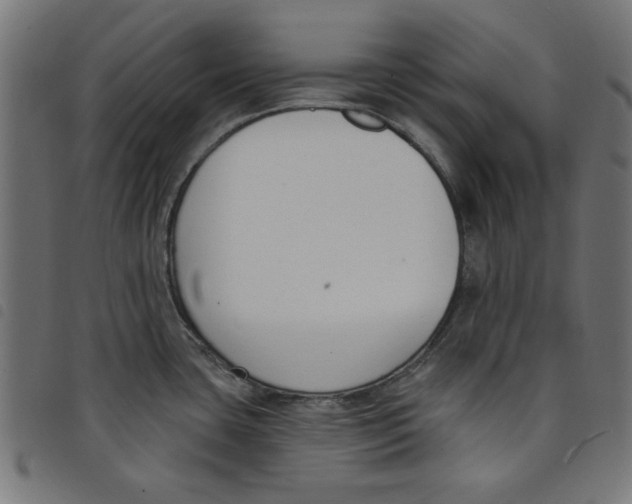 X0000098111435200804251417