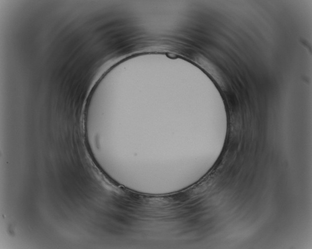 X0000098111436200804251417