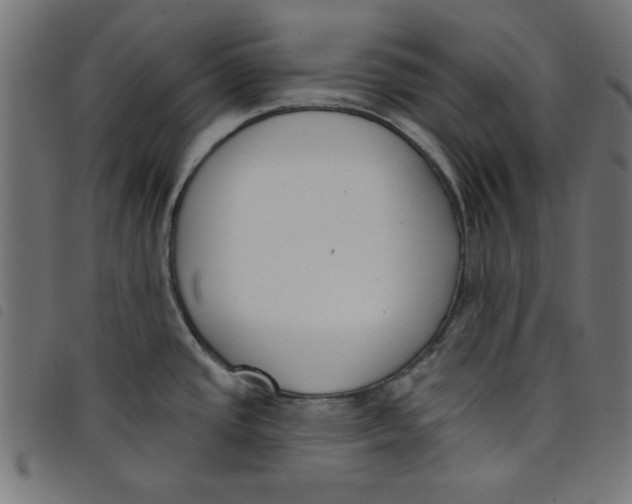 X0000098111437200804251417