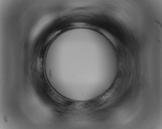 X0000098111438200804251417