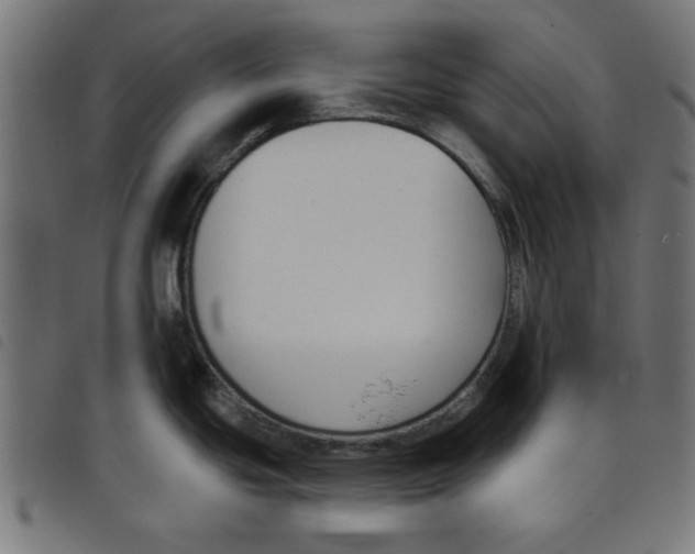 X0000098111439200804251417