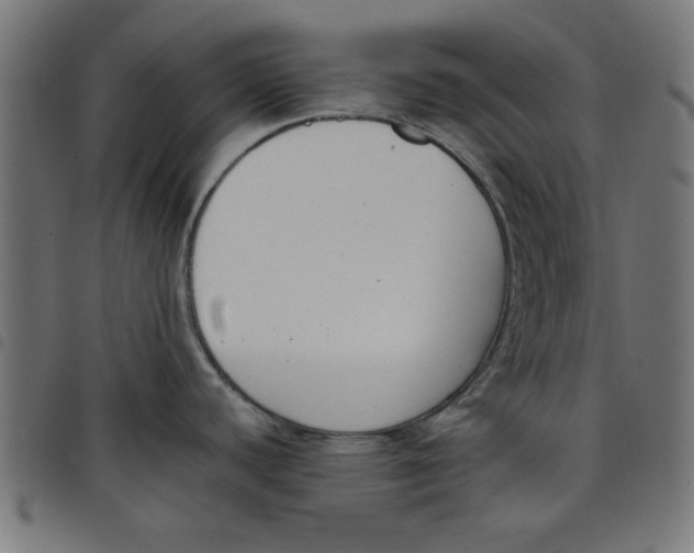 X0000098111440200804251417