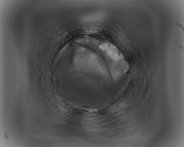 X0000098111441200804251417