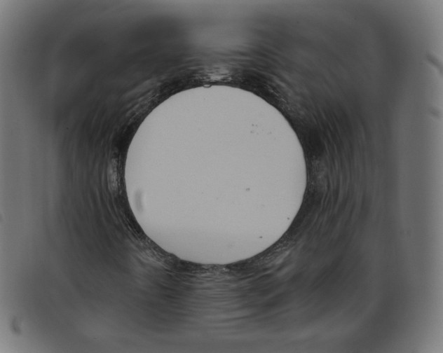 X0000098111442200804251417