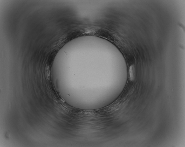 X0000098111443200804251417