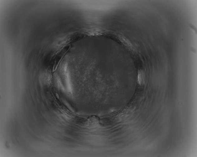 X0000098111444200804251417