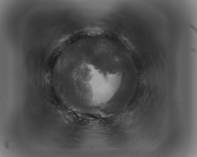 X0000098111445200804251417