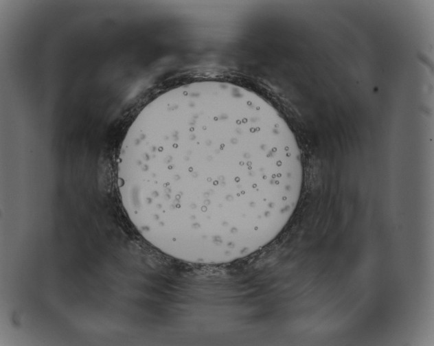 X0000098111446200804251417