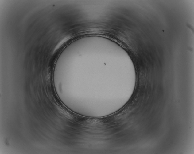 X0000098111450200804251417