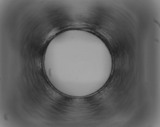 X0000098111451200804251417