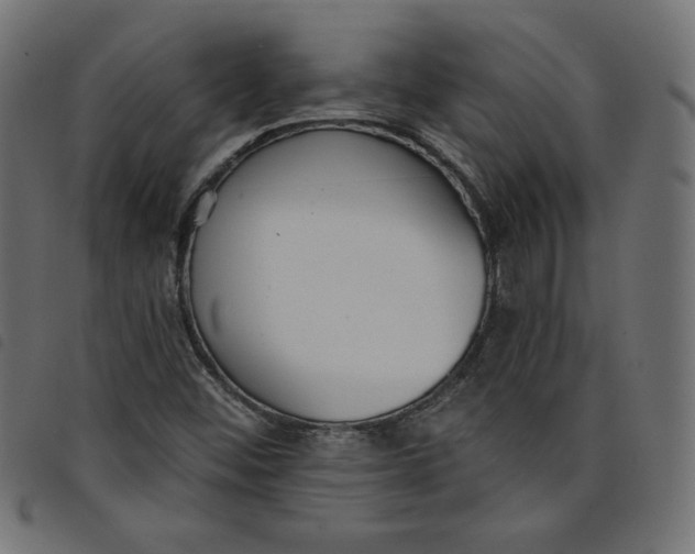 X0000098111452200804251417