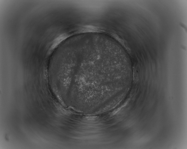 X0000098111453200804251417