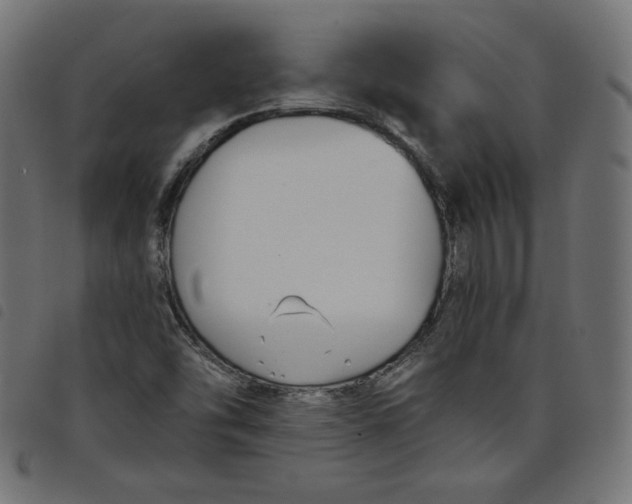 X0000098111454200804251417