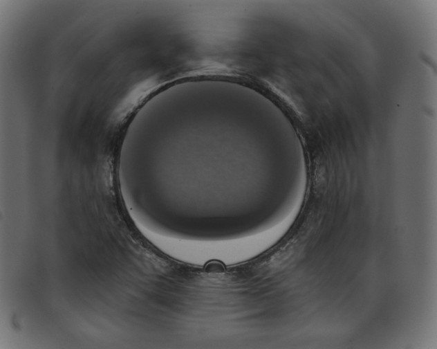 X0000098111455200804251417