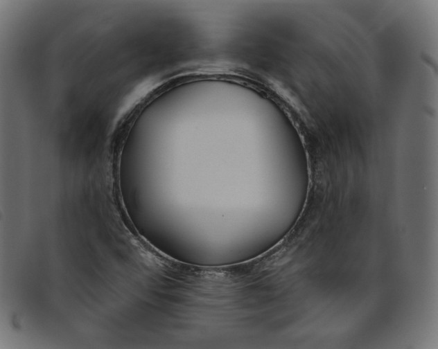 X0000098111456200804251416