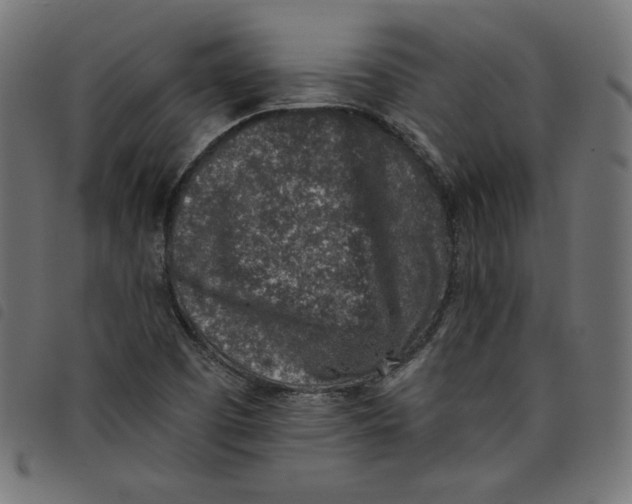 X0000098111457200804251416