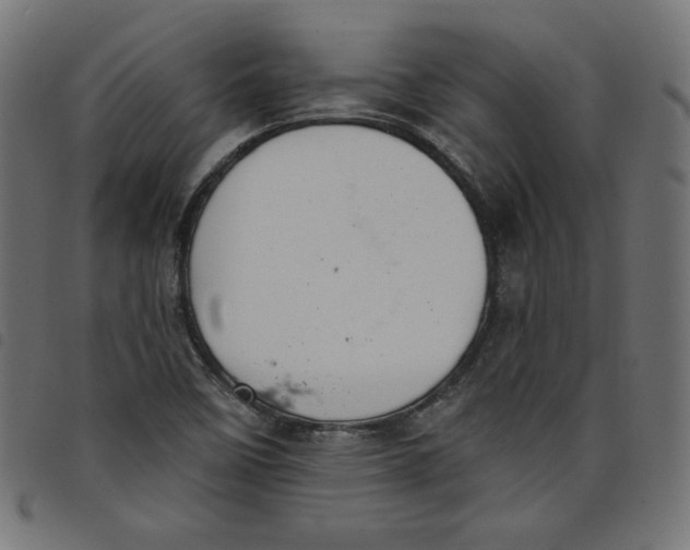 X0000098111458200804251416