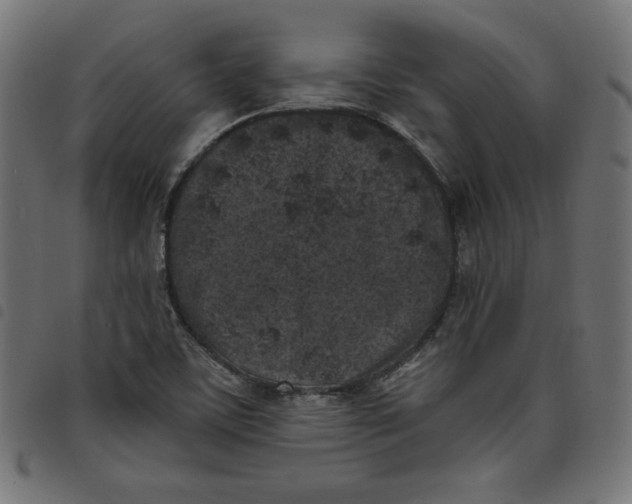 X0000098111459200804251416