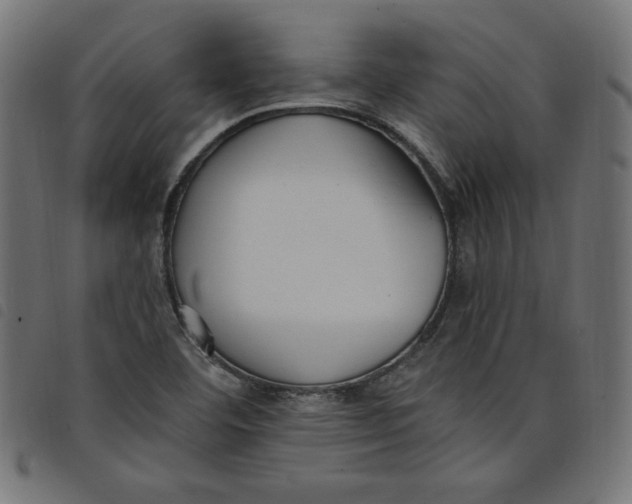 X0000098111460200804251416