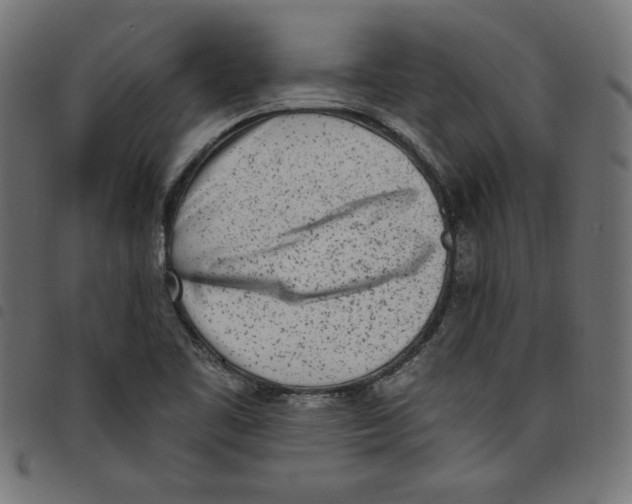 X0000098111461200804251416