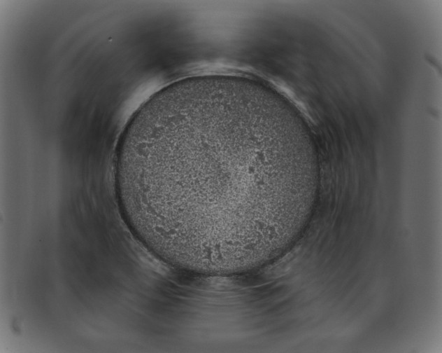 X0000098111463200804251416