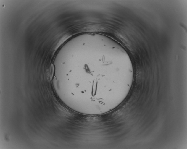 X0000098111465200804251416