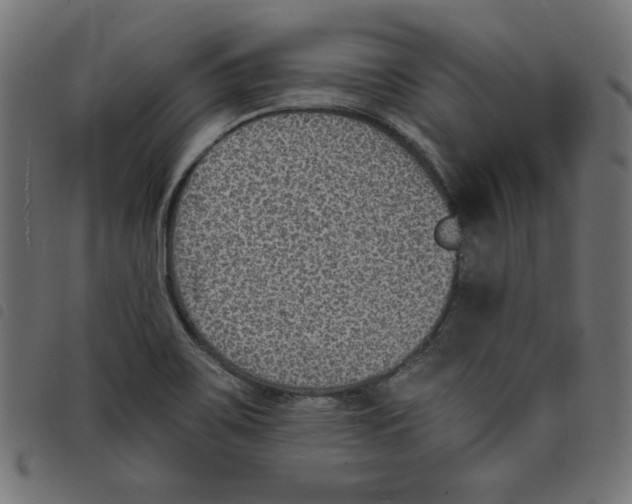 X0000098111467200804251416