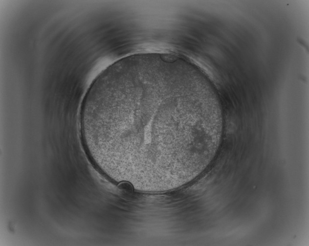 X0000098111471200804251416