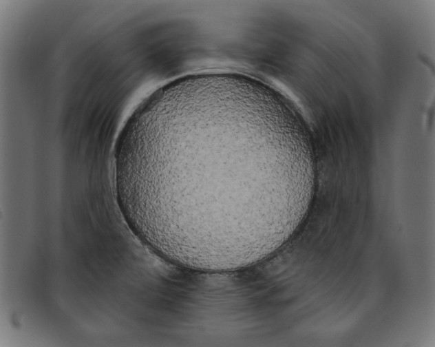 X0000098111472200804251416