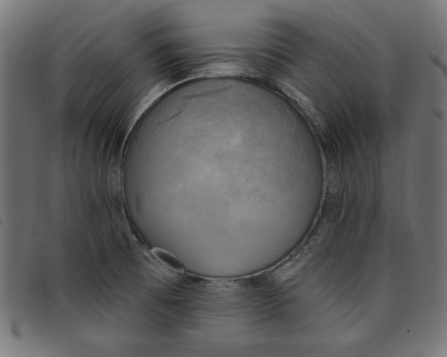 X0000098111473200804251416