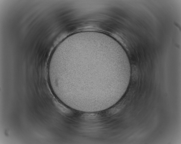 X0000098111474200804251416