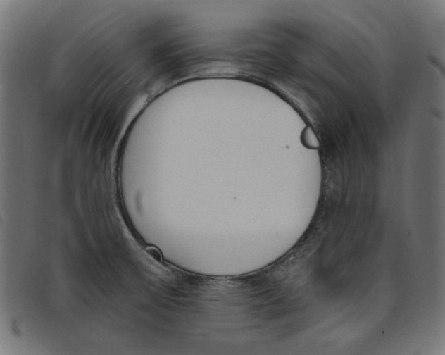 X0000098111475200804251416