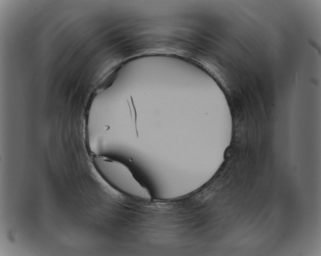 X0000098111476200804251416